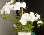 White silk orchid pot