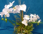 Silk white orchid in ceramic pot